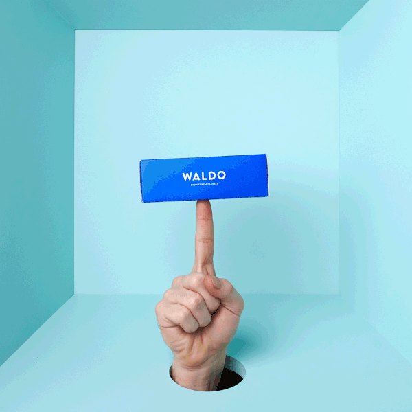 Waldo 品牌設(shè)計(jì)