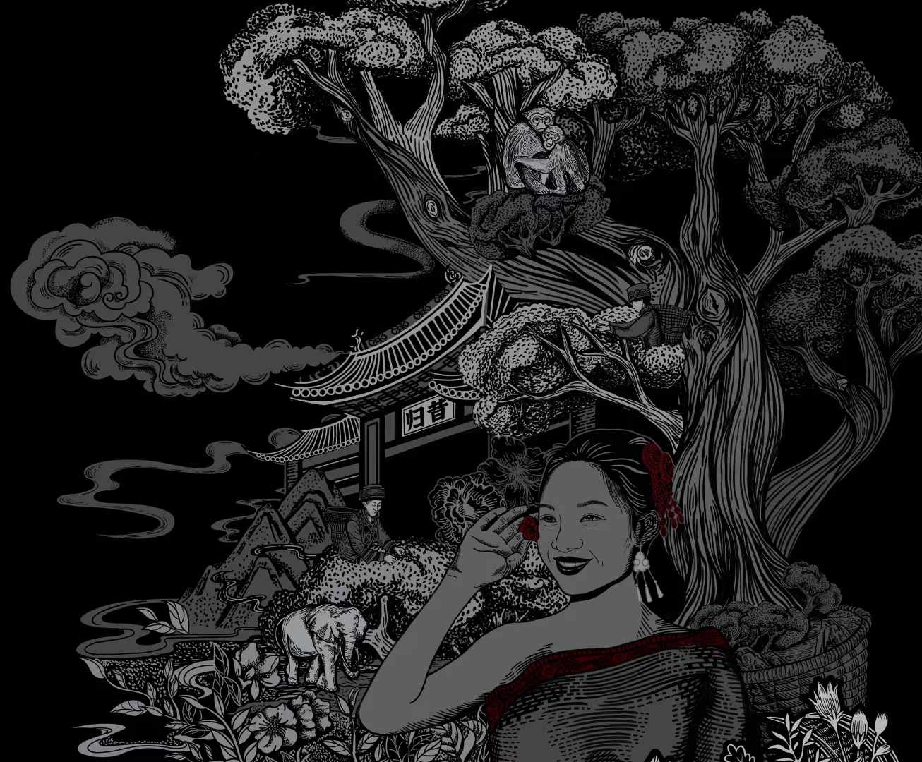 北京西林設計：中茶高端古樹茶禮盒包裝設計的創(chuàng)意塑造者