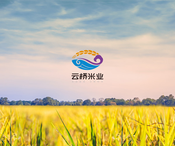 泰來大米-云橋米業(yè)品牌與包裝設計