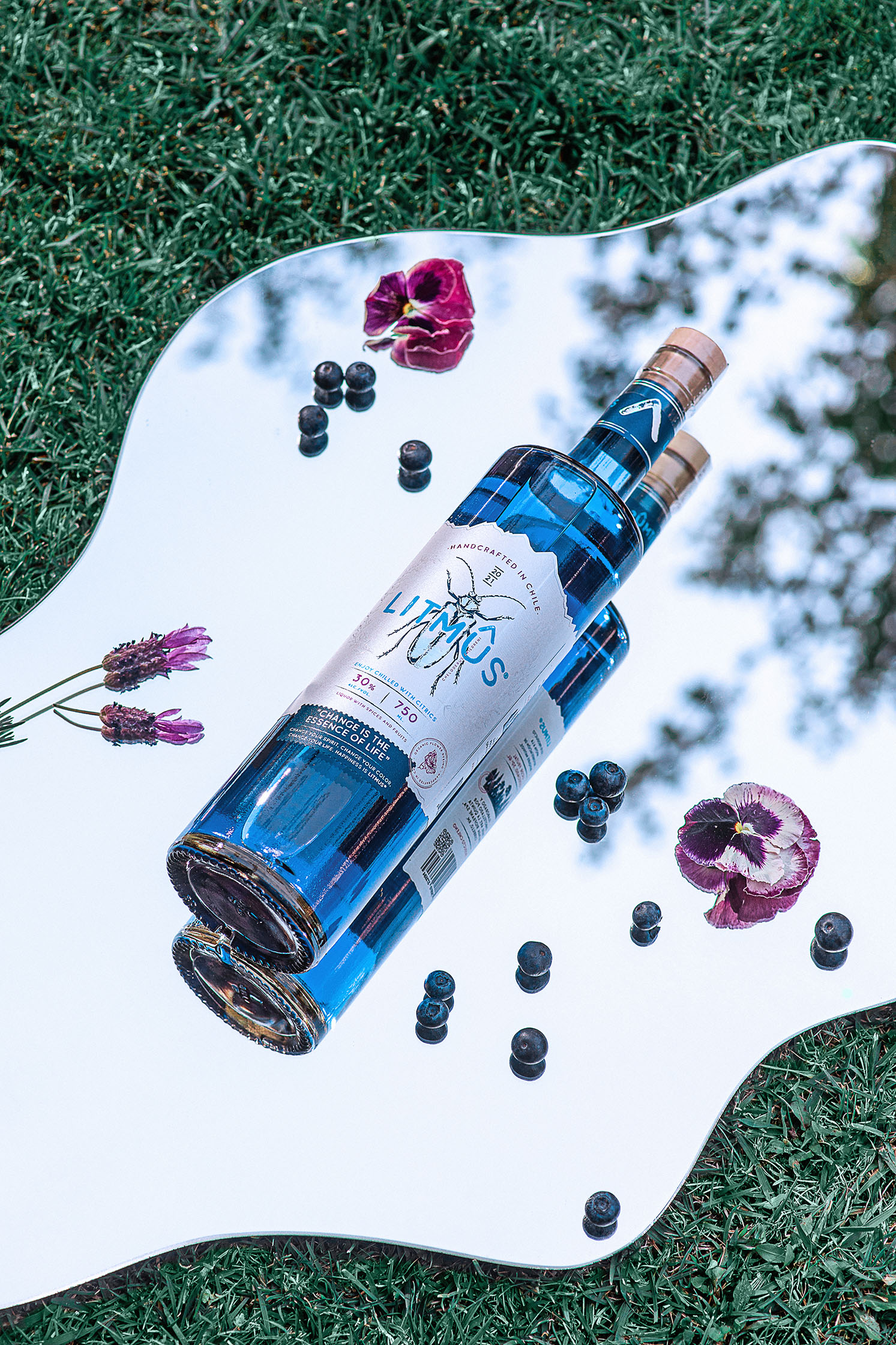 國際包裝設計分享學習｜LITMUS果酒包裝設計