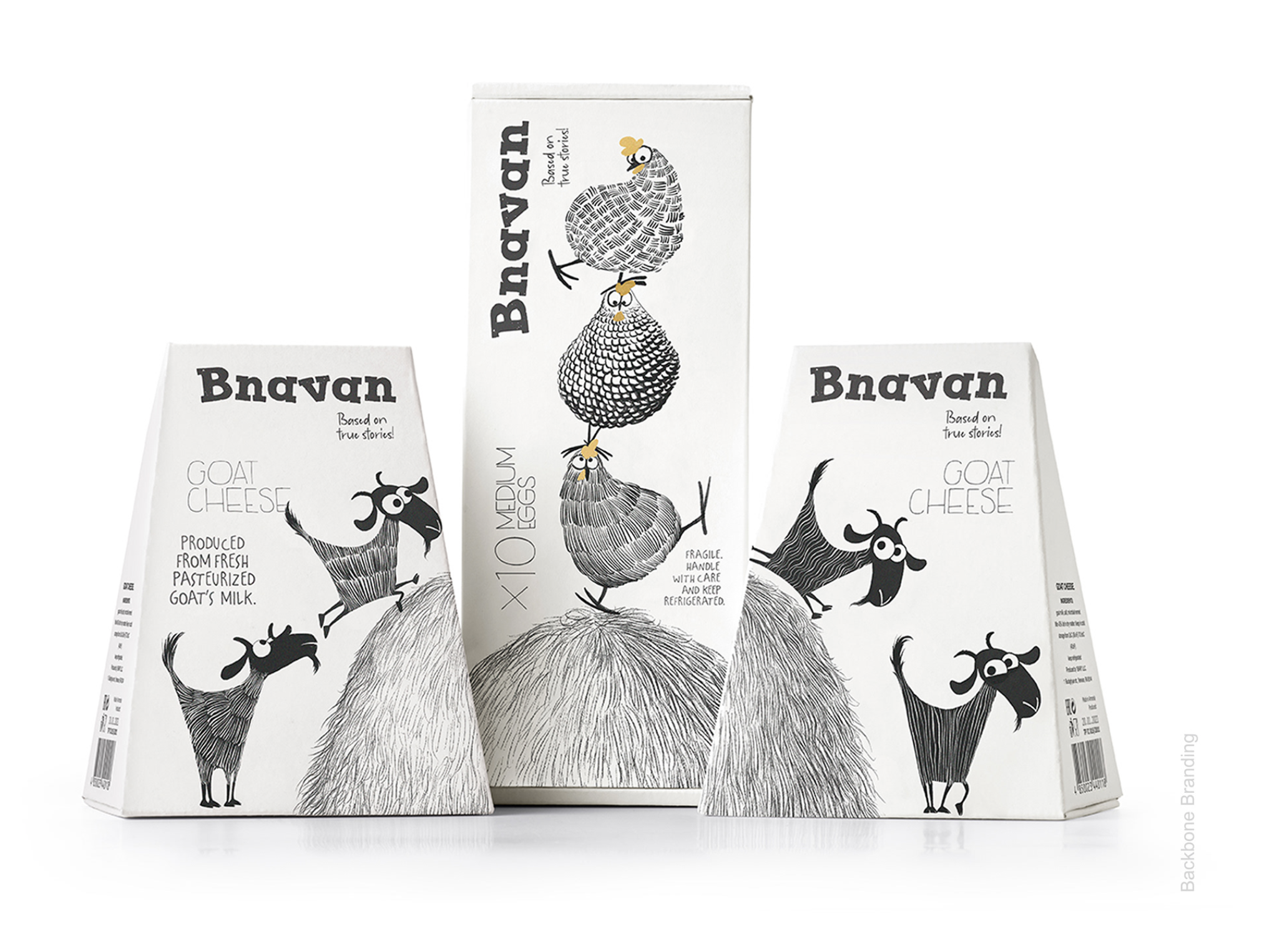 雞蛋包裝設(shè)計(jì)