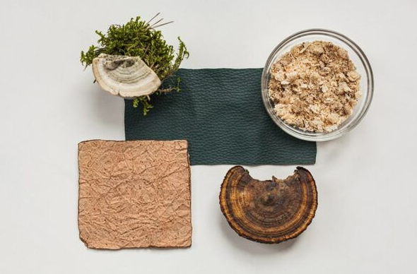 Woola、LivingPackets 和 Releaf Paper 入圍 LVMH 創(chuàng)新設計獎決賽