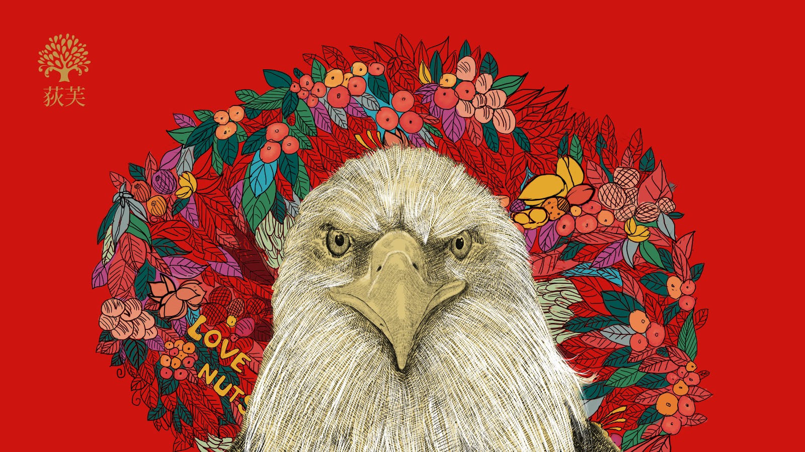 堅果插畫設(shè)計
