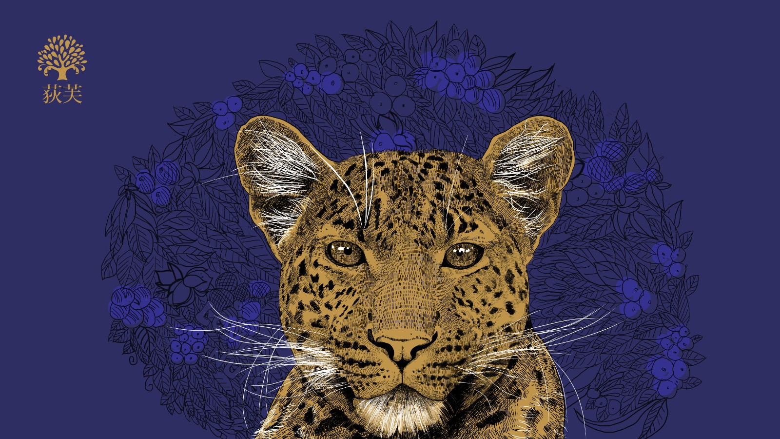 北京西林插畫設(shè)計