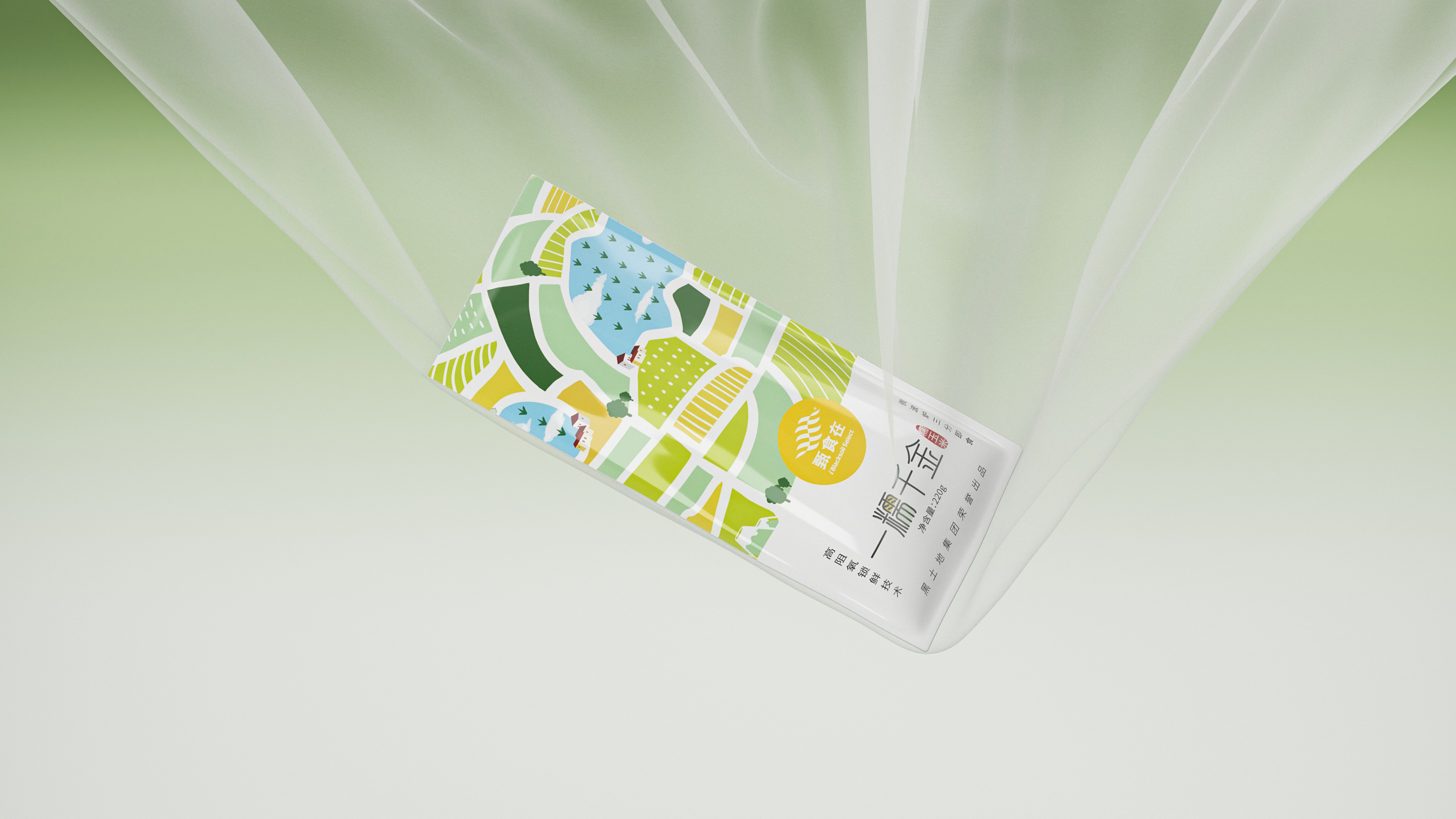 東北玉米包裝設(shè)計(jì)