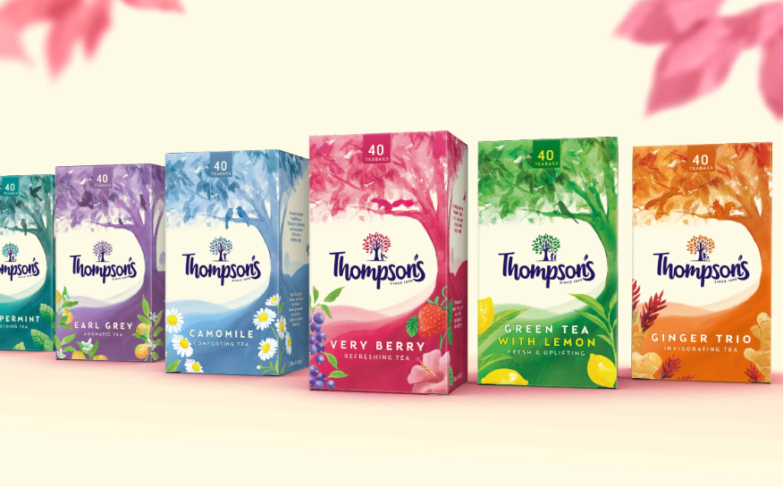百年茶企的「新葉」覺醒：Thompson's 茶包裝升級設(shè)計(jì)