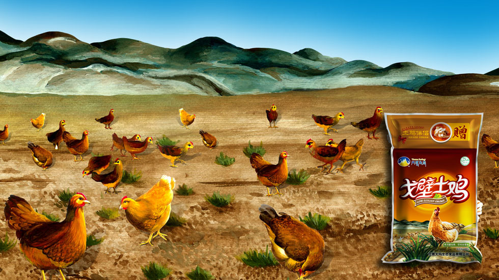 甘肅天瑪生態(tài) 生態(tài)雞肉食品包裝設(shè)計